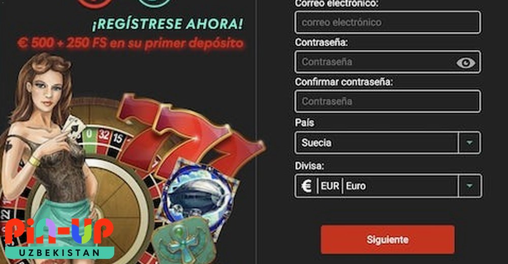 Pin Up kirish formasi — telefon va email